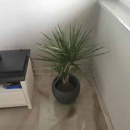 Apartment Luki *