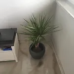Appartement Luki *
