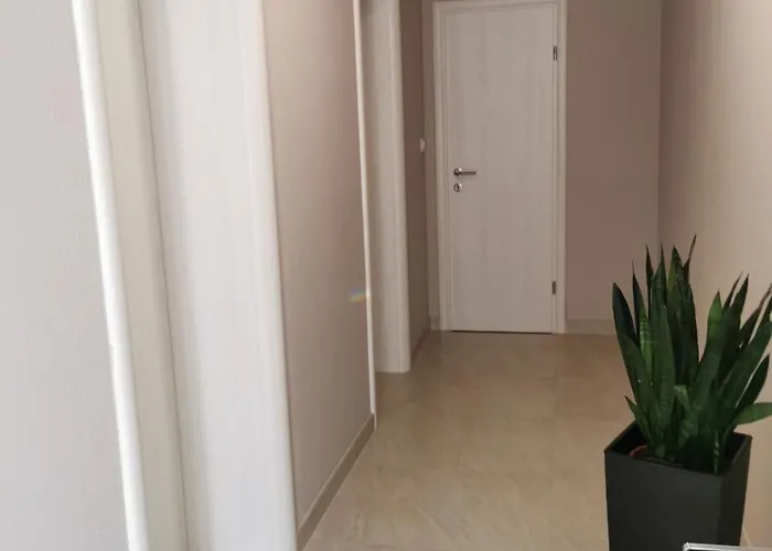 Luki